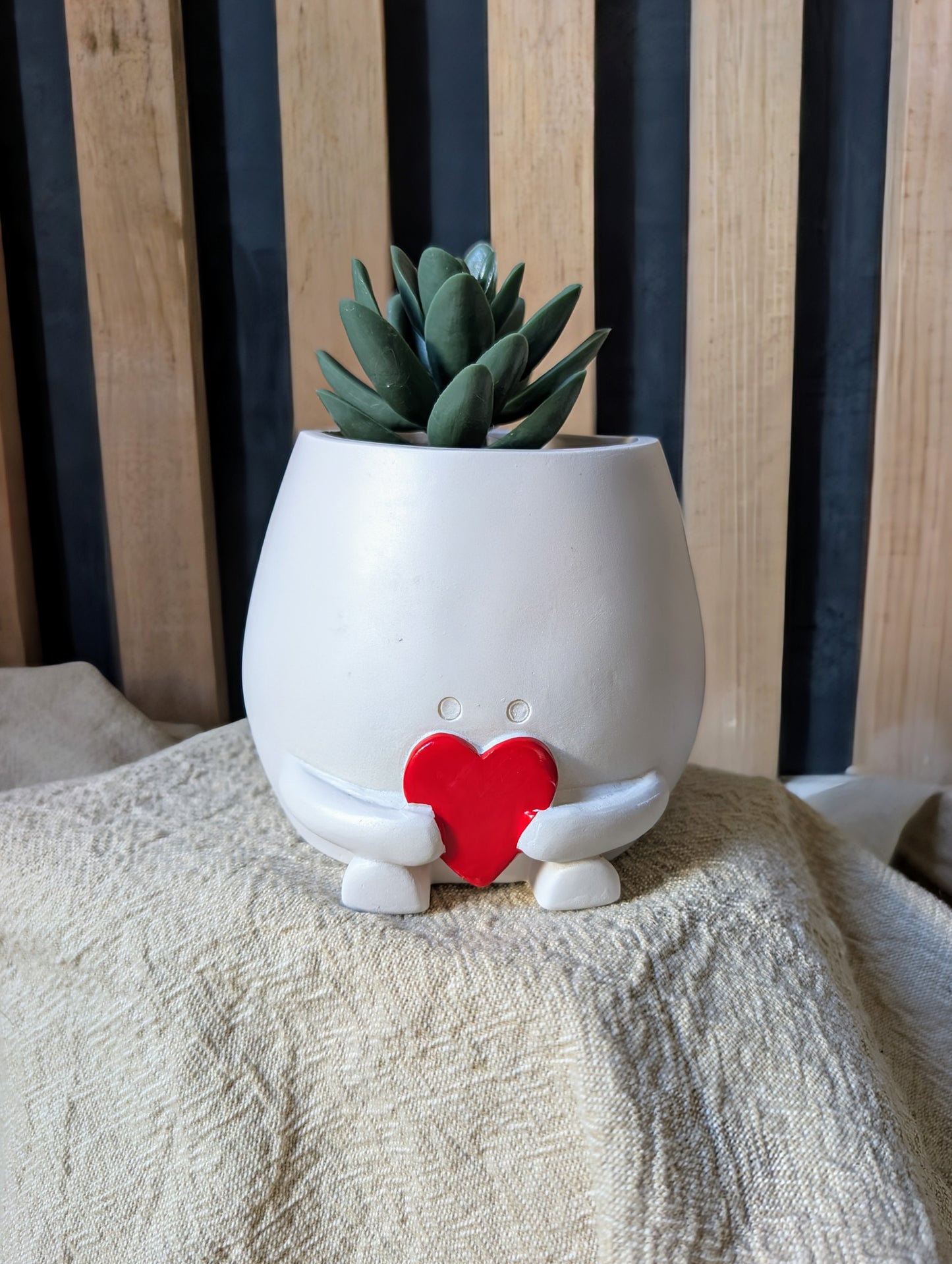Heart Hugging Plant Pot – Cute Succulent Pot with Love