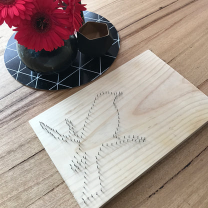 Country Home Bird Wooden String Art