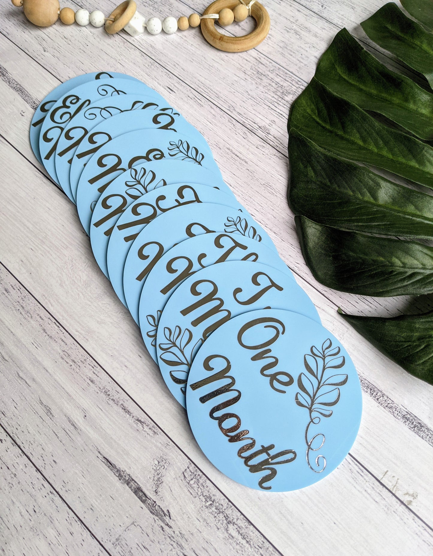 Baby Milestone Discs | 1-12 month acrylic discs | Photo Props