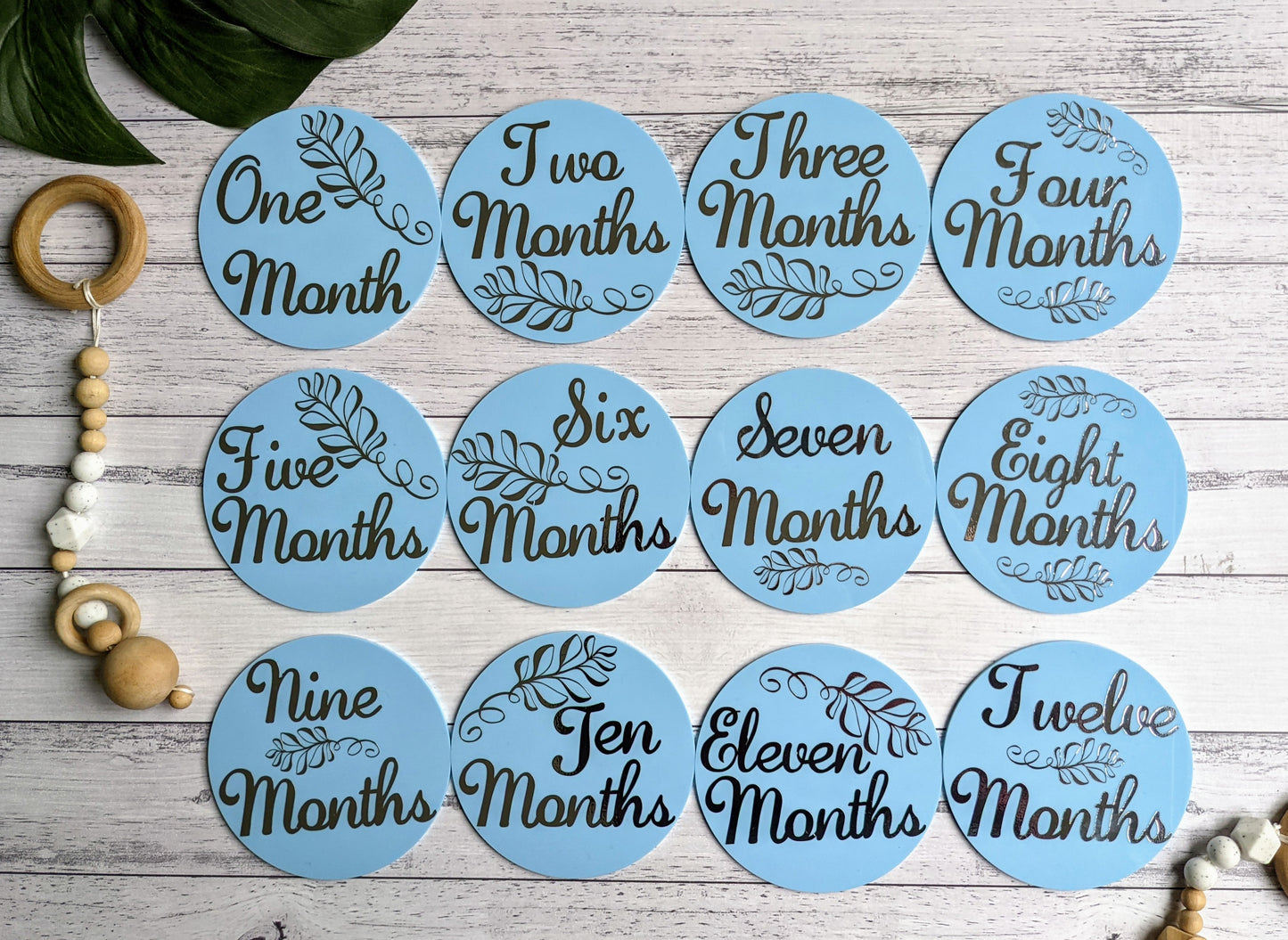 Baby Milestone Discs | 1-12 month acrylic discs | Photo Props