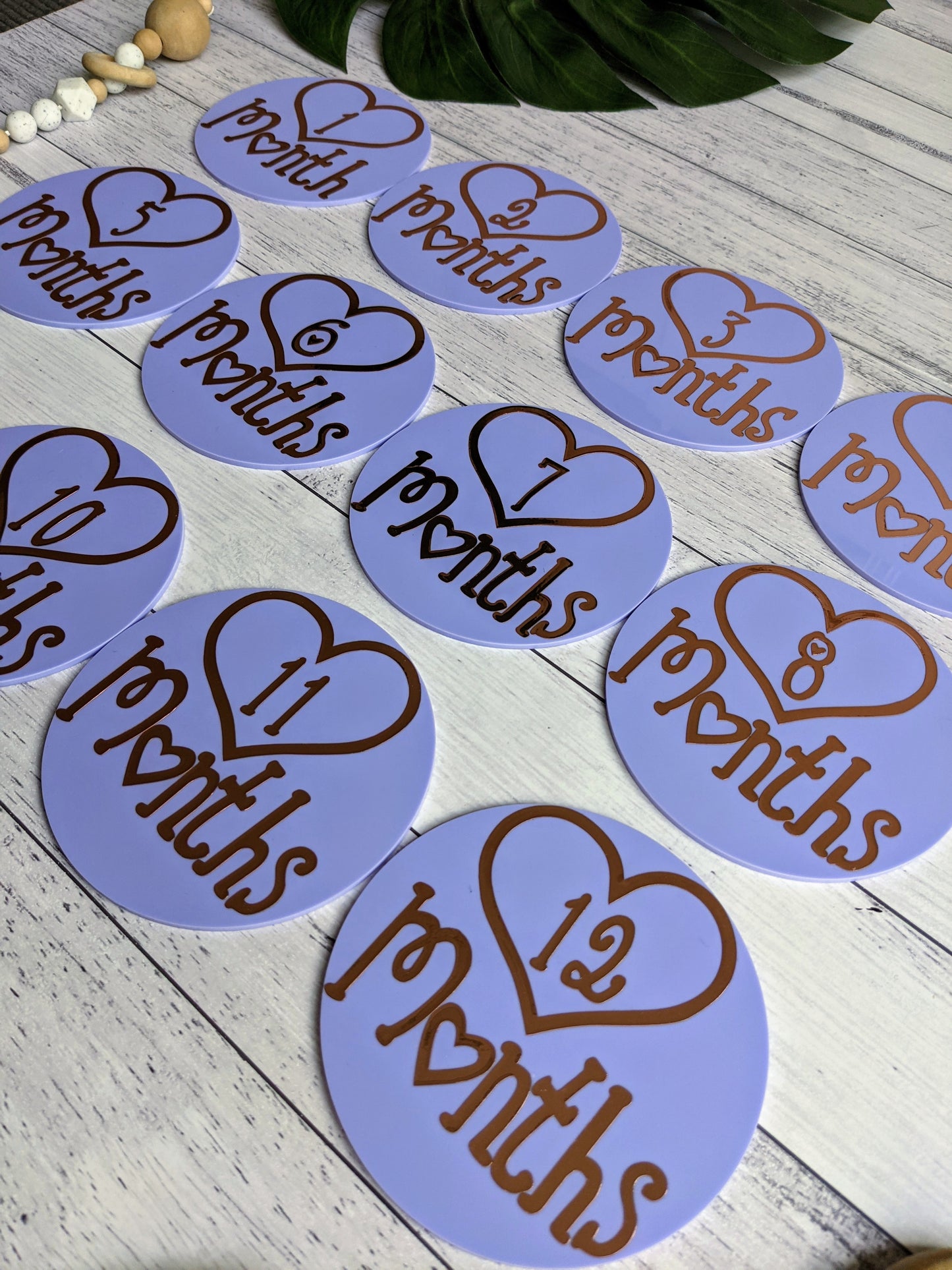 Baby Milestone Discs Heart Design | 1-12 month acrylic discs