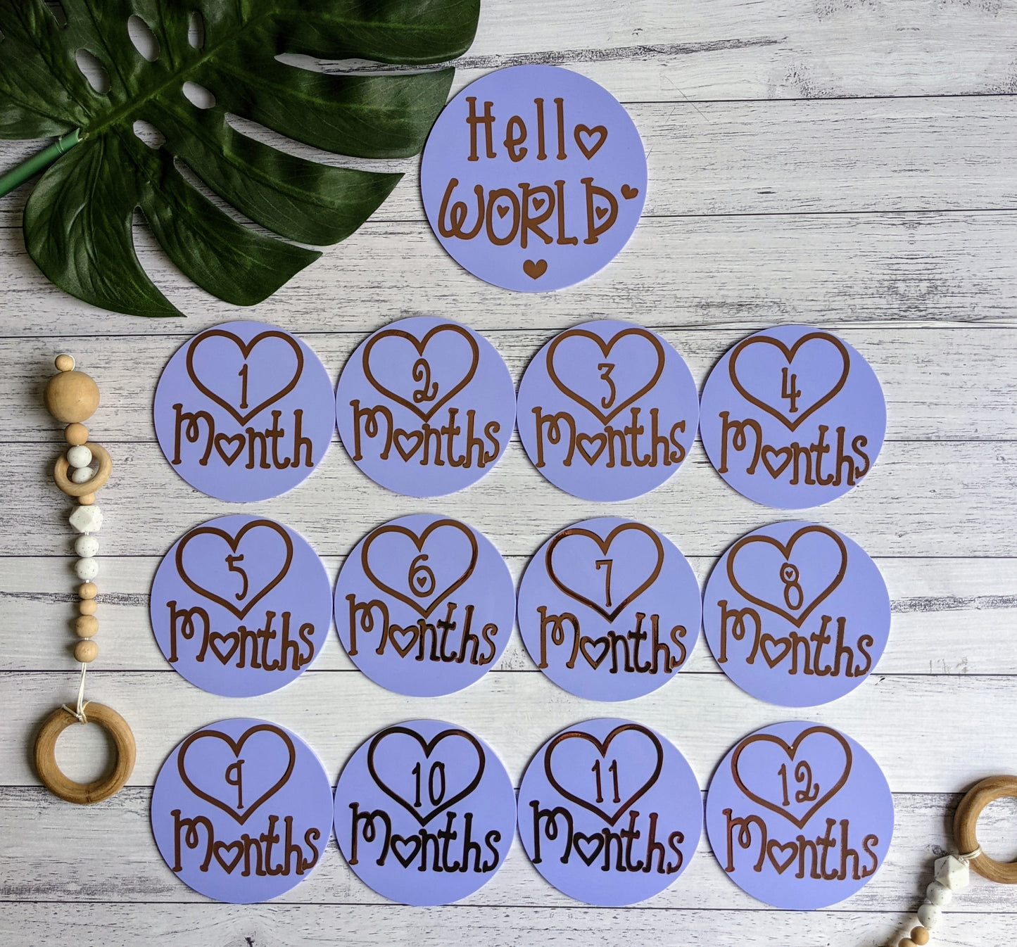 Birth Announcement Disc and Milestone Bundle | 1-12 month acrylic discs | Photo Props